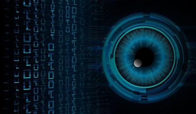 Image Classification & Recognition