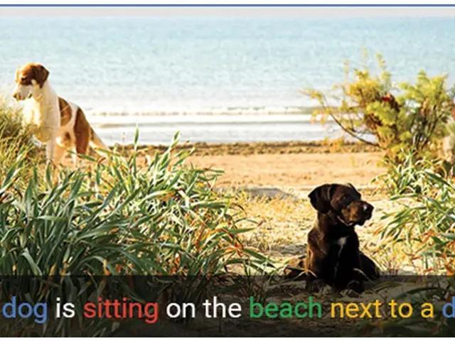 Image captioning